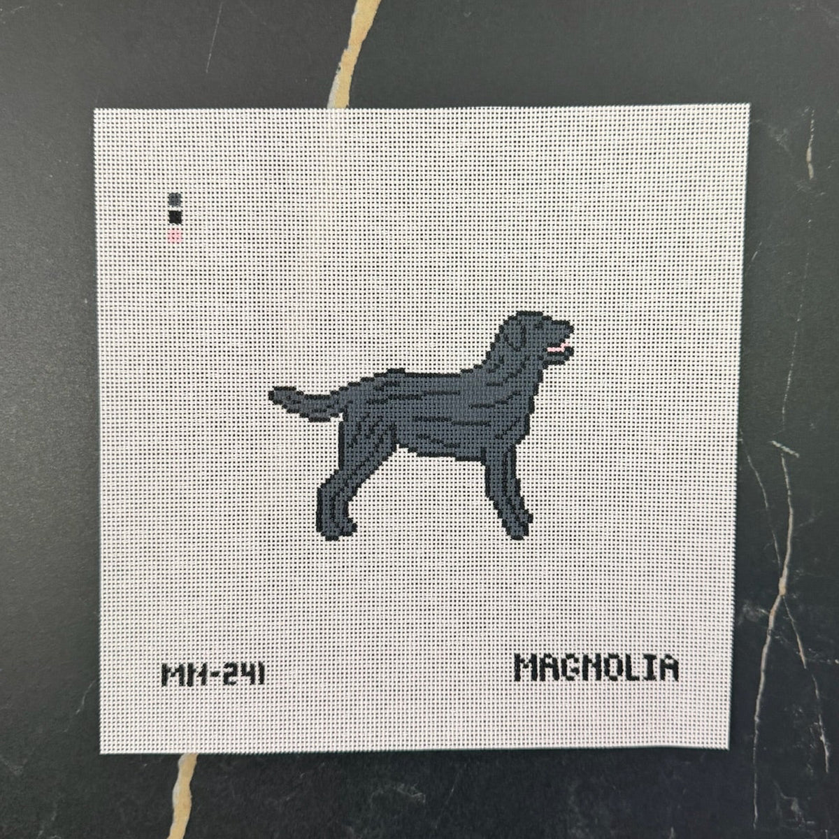 Black Labrador Retriever