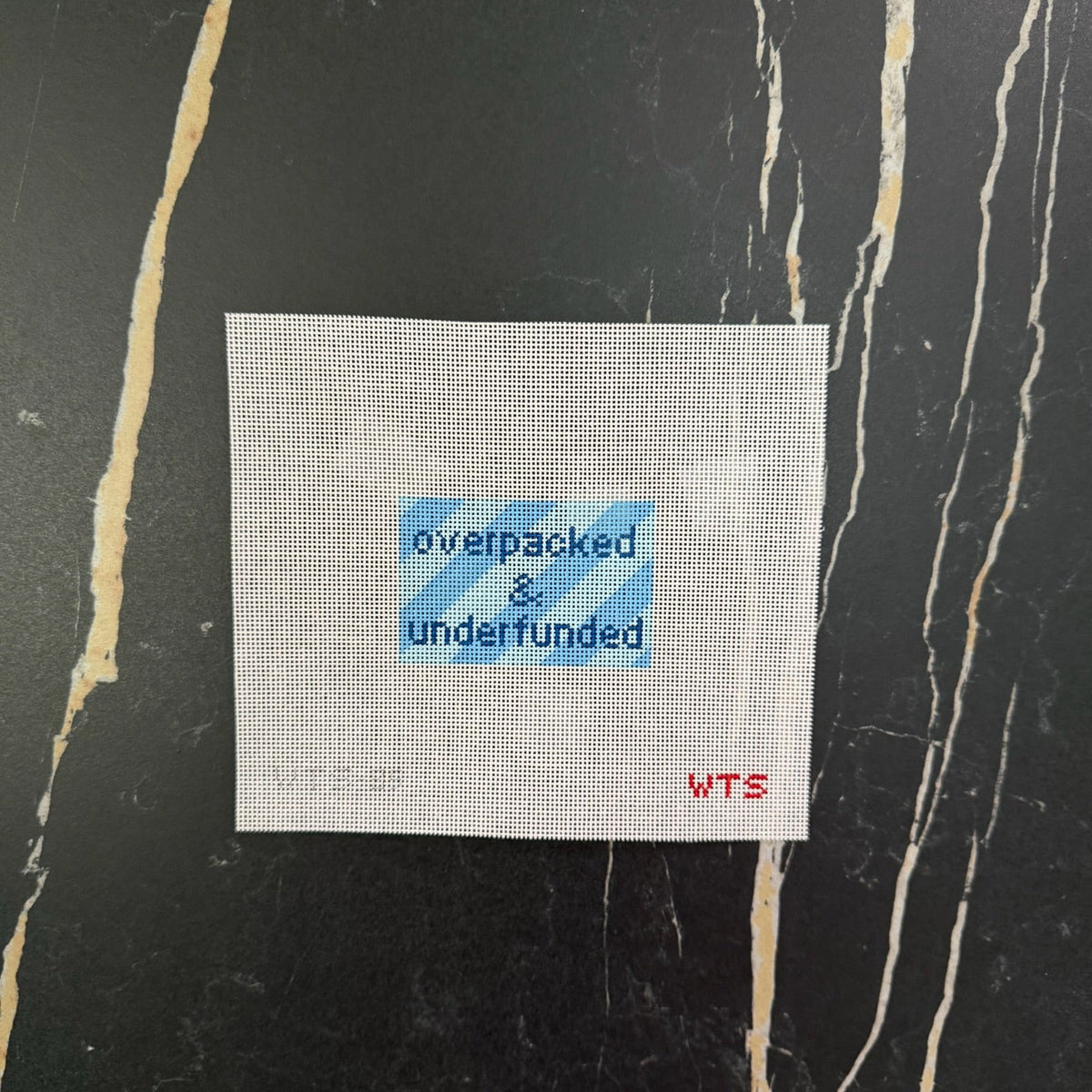 Overpacked & Underfunded Luggage Tag