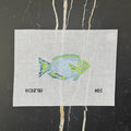 Blue and Green Parrotfish