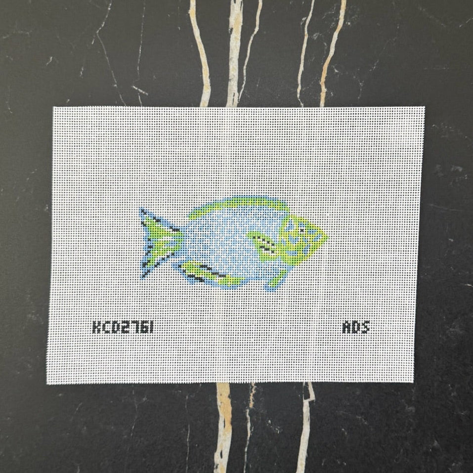 Blue and Green Parrotfish