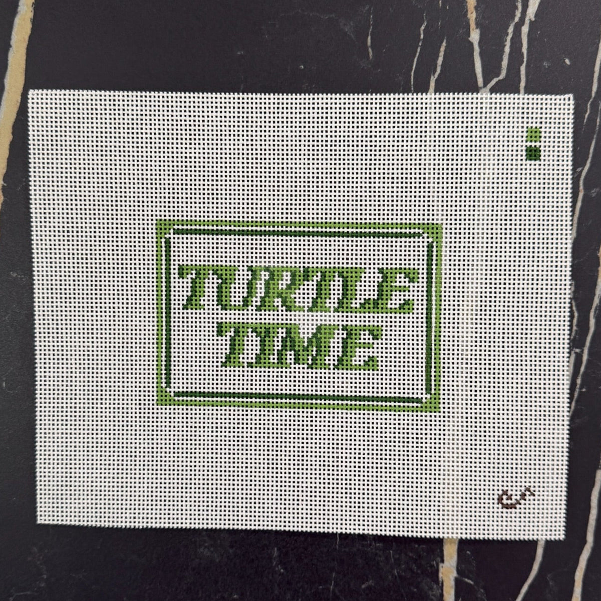 Turtle Time