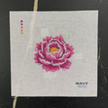 Pink Peony