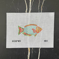 Green and Orange Parrotfish