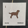 Chocolate Brown Labrador Retriever