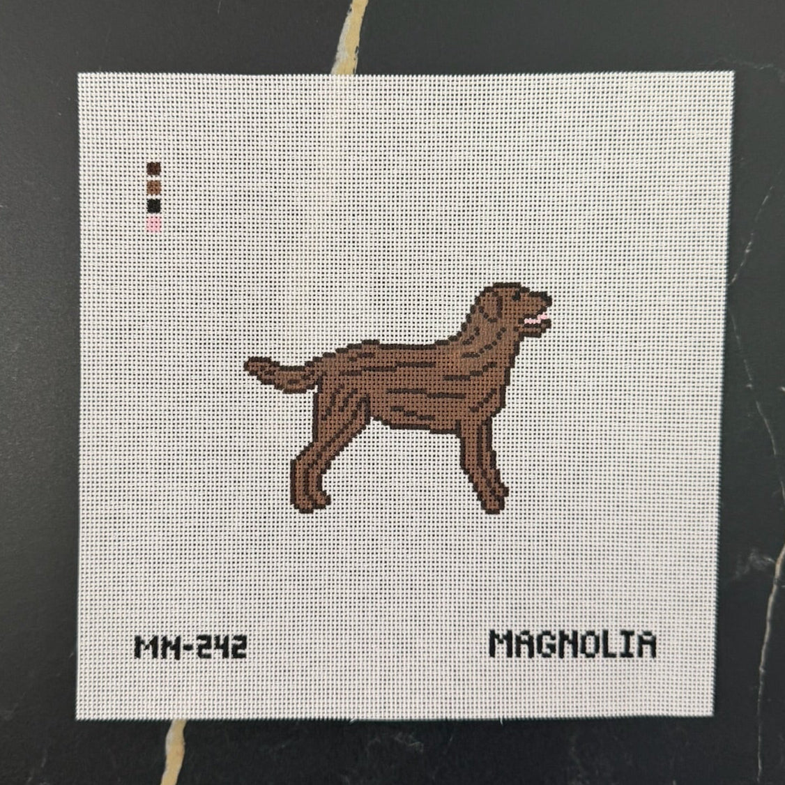 Chocolate Brown Labrador Retriever