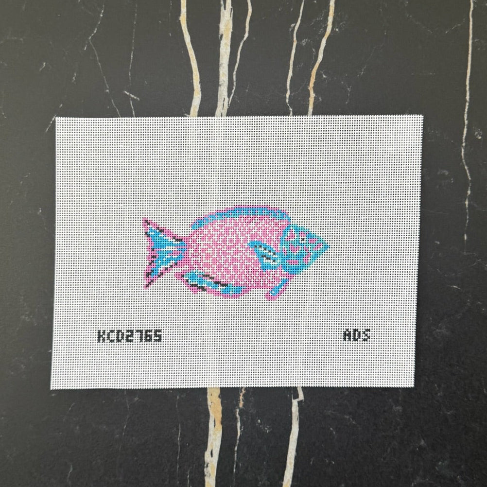 Pink and Turquoise Parrotfish