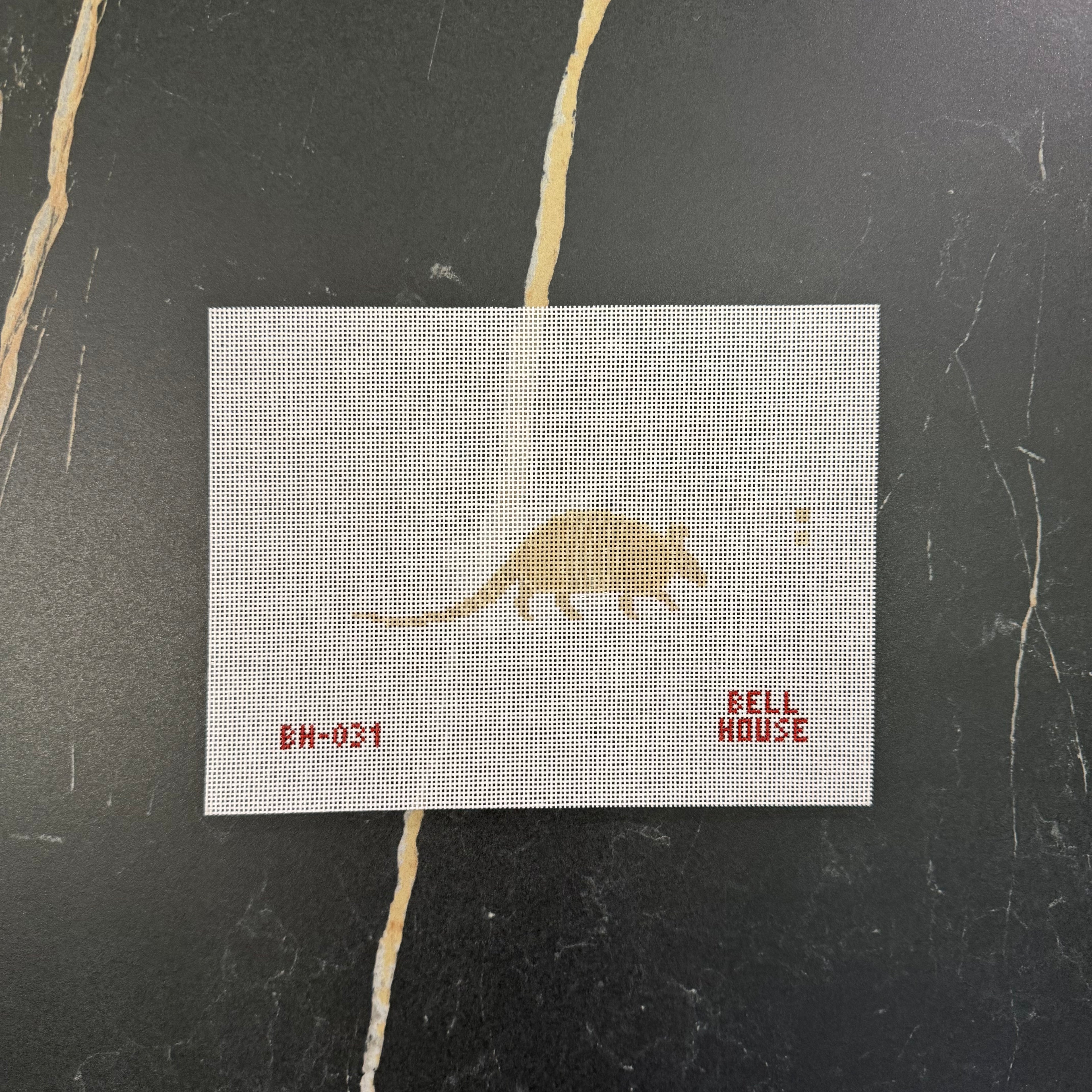 Armadillo